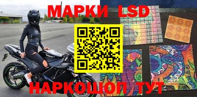 прущие грибы Сланцы