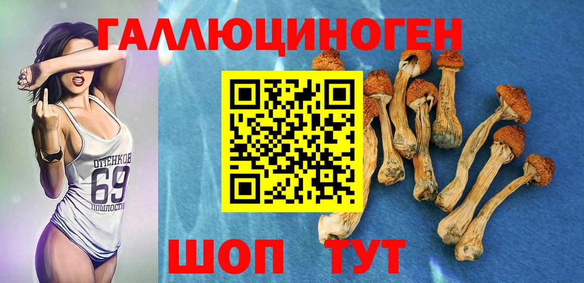 Новошахтинск  Псилоцибиновые грибы GOLDEN TEACHER  Вход с VPN  Псилоцибиновые грибы Magic Shrooms 