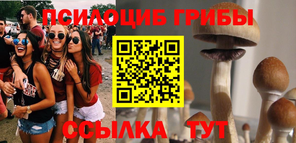 Галлюциногенные грибы Cubensis Новошахтинск